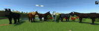 Beyond Vanilla: Equestria Mod for Minecraft - Download & Install mod screenshot 4