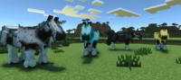 Beyond Vanilla: Equestria Mod for Minecraft - Download & Install mod screenshot 6