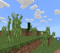 Some.sunny.day Addon for Minecraft - Download & Install mod screenshot 7