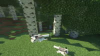 Alex's Mobs Mod for Minecraft - Download & Install mod screenshot 9