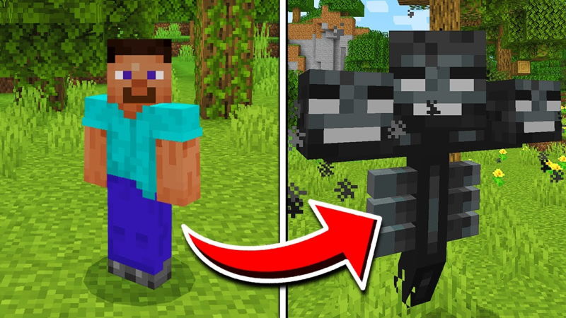 مود التحول لأي كائن - Morph Mod لماين كرافت جافا