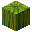 Melon
